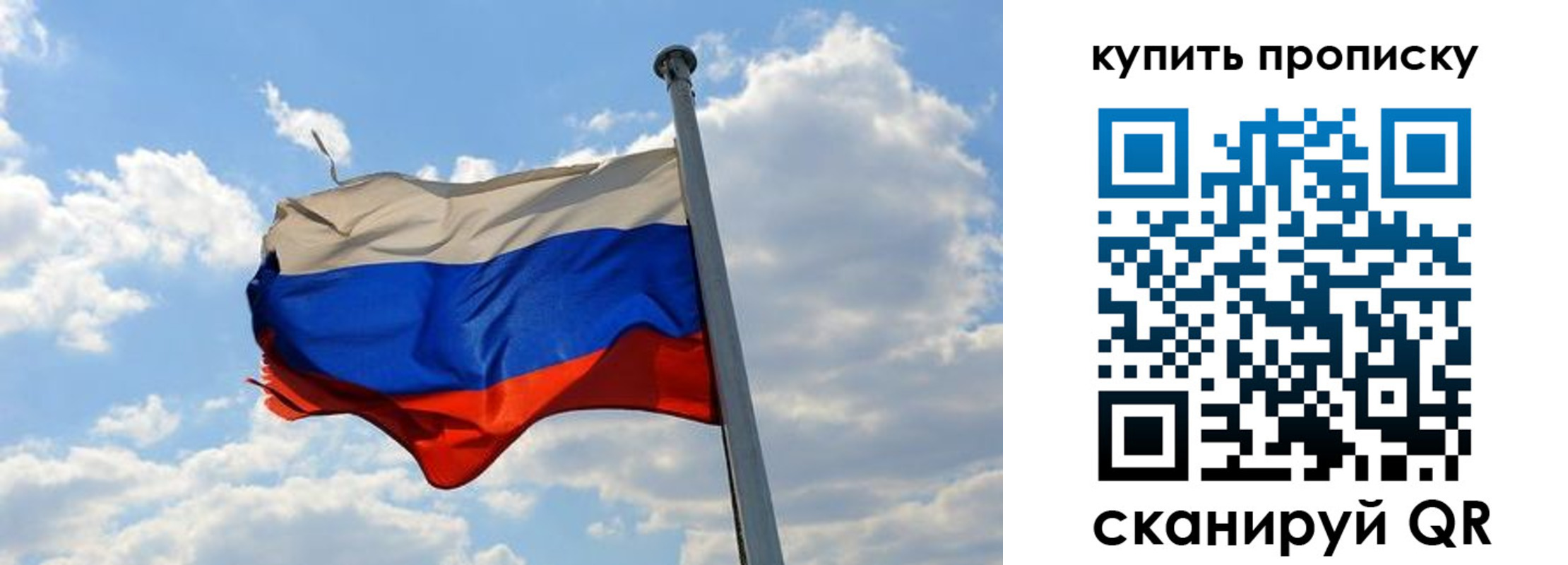 временная прописка в Димитровграде